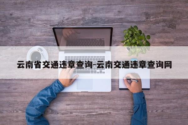 云南省交通违章查询-云南交通违章查询网