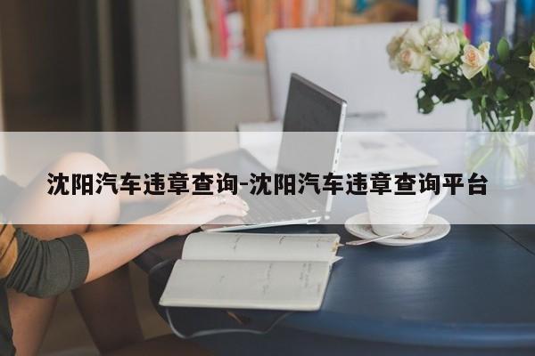 沈阳汽车违章查询-沈阳汽车违章查询平台
