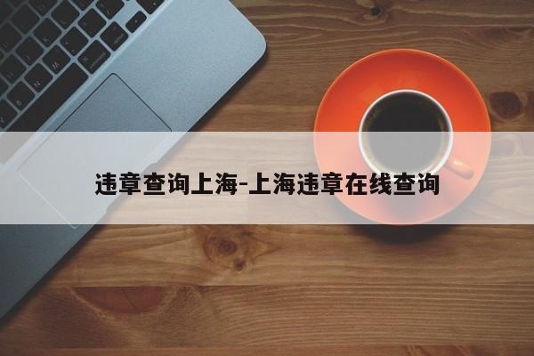 违章查询上海-上海违章在线查询