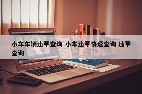 小车车辆违章查询-小车违章快速查询 违章查询