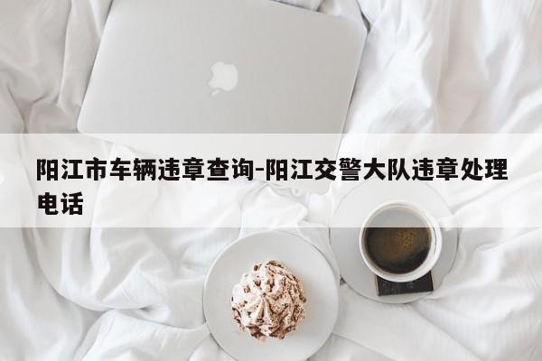 阳江市车辆违章查询-阳江交警大队违章处理电话